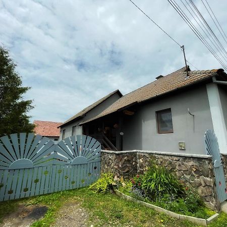 Casa De Oaspeti Cristina Fitod المظهر الخارجي الصورة
