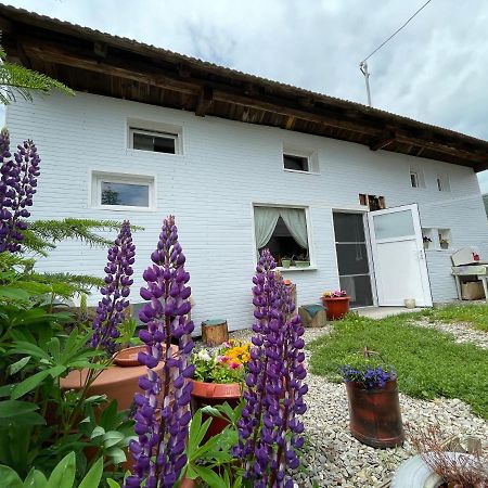 Casa De Oaspeti Cristina Fitod المظهر الخارجي الصورة