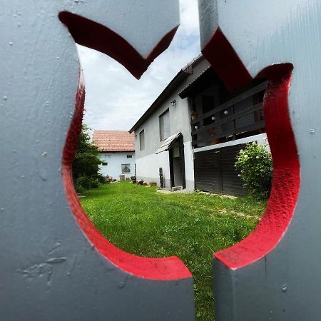 Casa De Oaspeti Cristina Fitod المظهر الخارجي الصورة