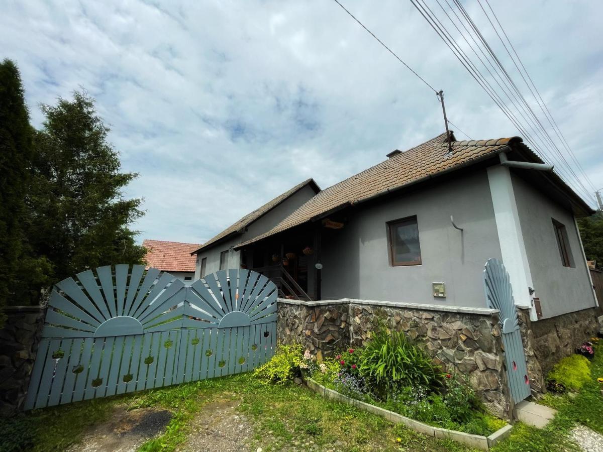 Casa De Oaspeti Cristina Fitod المظهر الخارجي الصورة