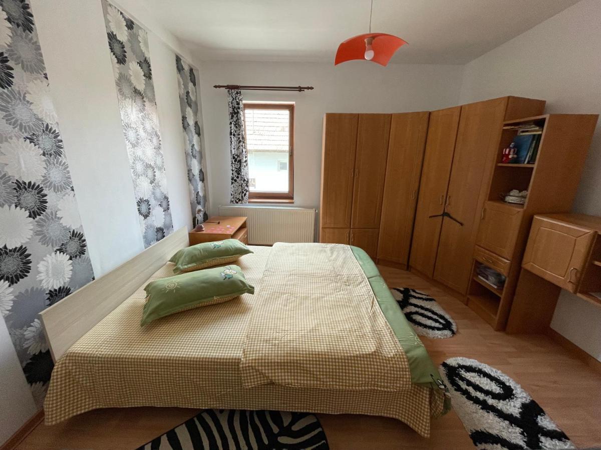 Casa De Oaspeti Cristina Fitod المظهر الخارجي الصورة
