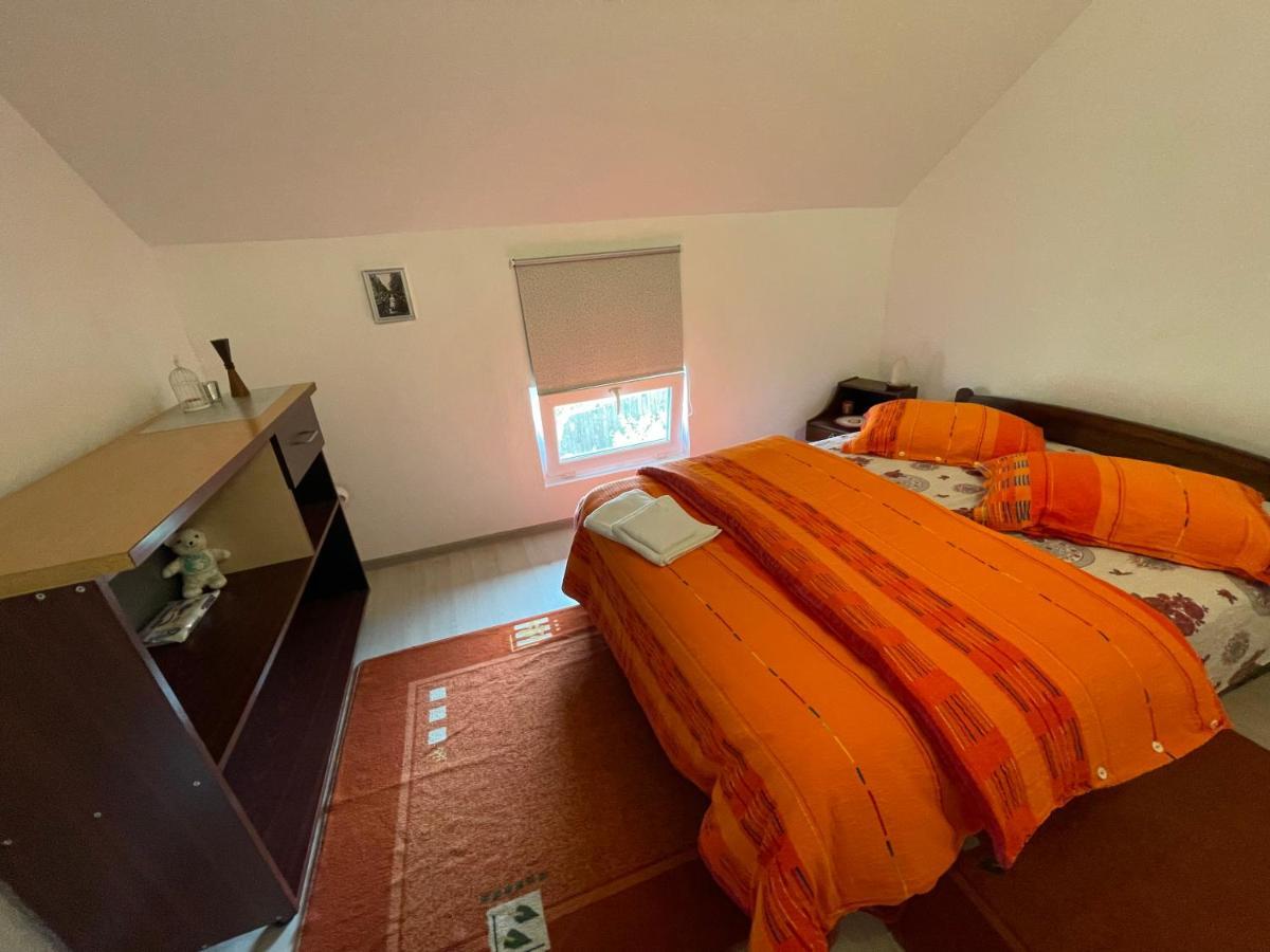 Casa De Oaspeti Cristina Fitod المظهر الخارجي الصورة