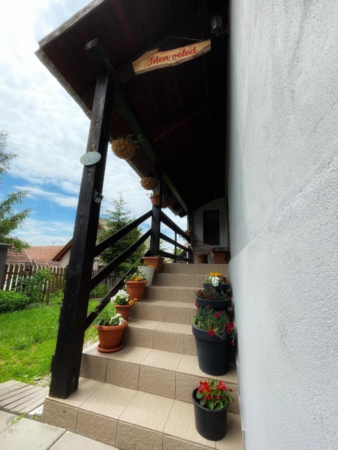 Casa De Oaspeti Cristina Fitod المظهر الخارجي الصورة